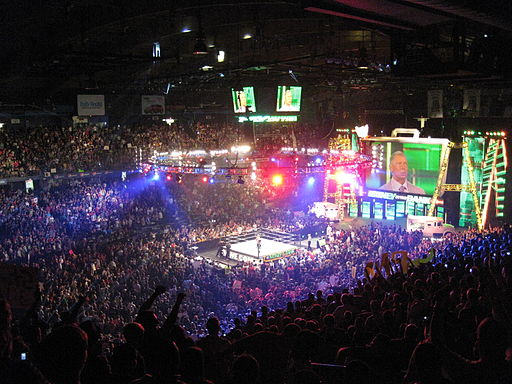 WWE_Money_in_the_Bank_2011_set