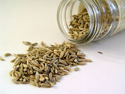 256px-Fennel_seed