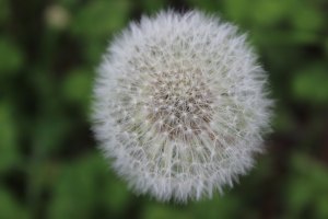 sarah-derritt-619554-unsplash