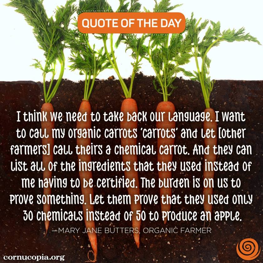 dce23e5ed7e478694f648920e0adacf4 (1)